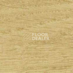 Линолеум Taralay Initial Comfort 0024 Chamois фото 1 | FLOORDEALER